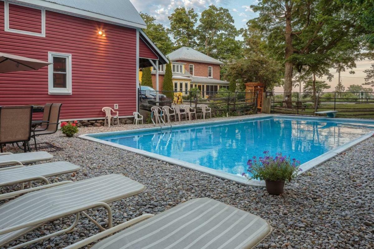 Our Space The Perfect Place B&B Picton Exterior photo
